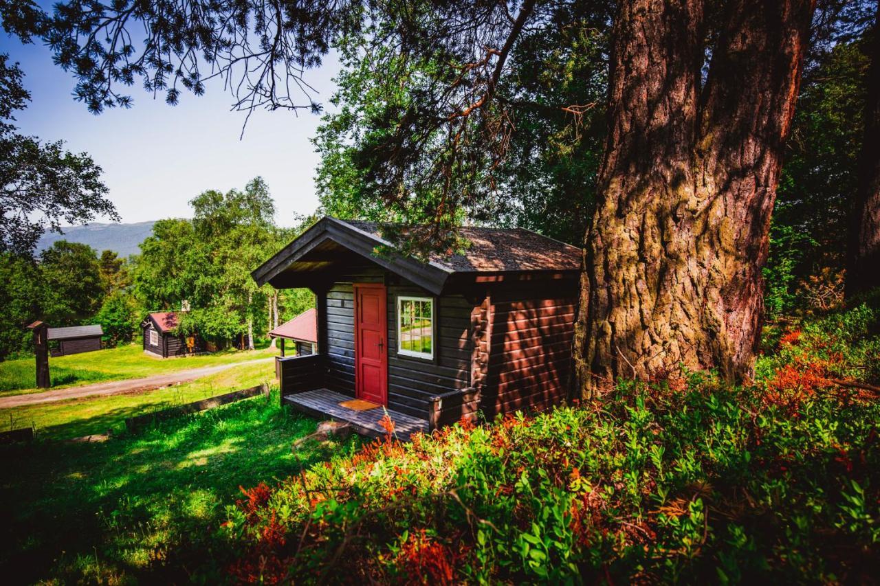 Ljoshaugen Camping Dombås Εξωτερικό φωτογραφία