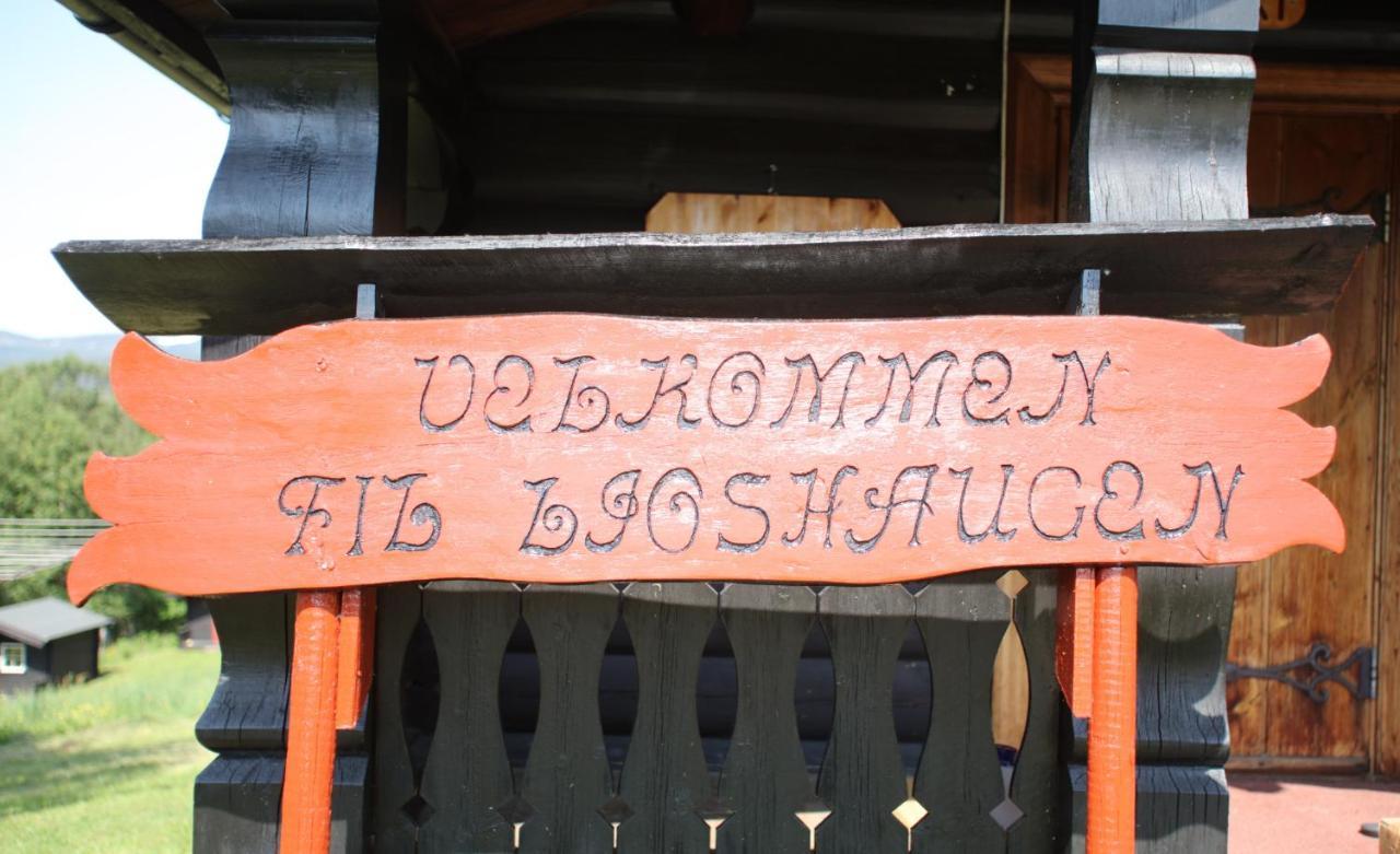Ljoshaugen Camping Dombås Εξωτερικό φωτογραφία